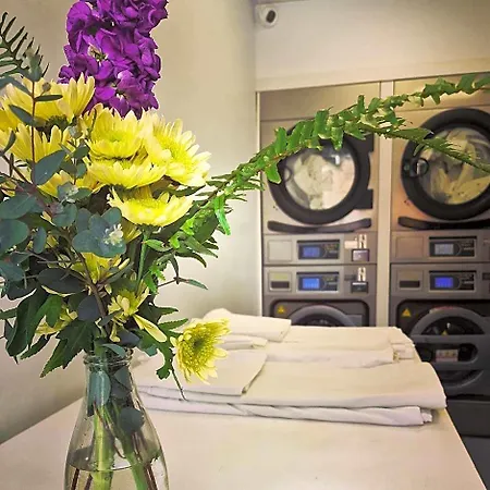 Albor Hostal