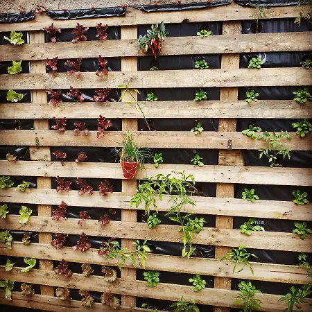 Albor * Caldas De Reis